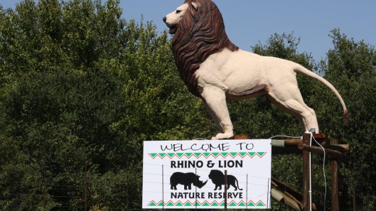 history-rhino-lion-game-reserve